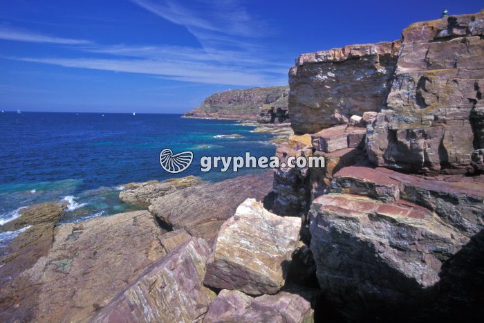 Paysage gréseux (grès rose du Cap Fréhel) - gryphea.org